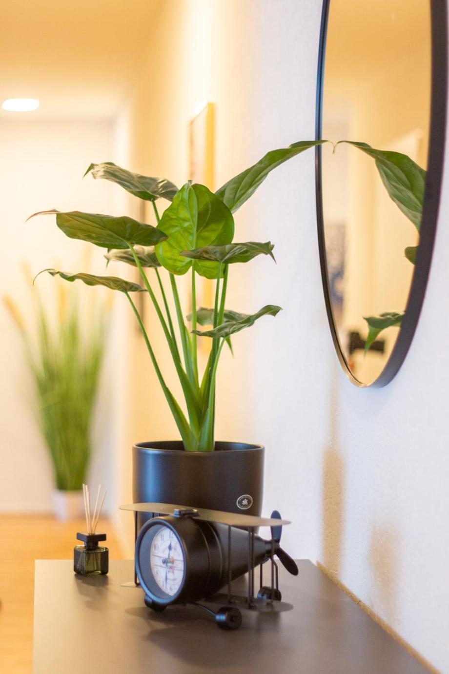 Special Einstein II Apartment Basel, Messe Kleinbasel 10-Star Luaran gambar